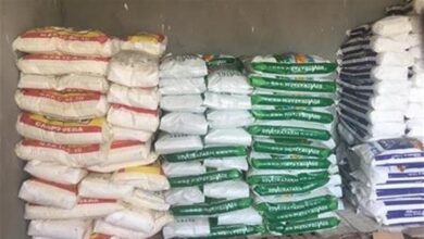 بدء صرف الدفعة الثانية من الأسمدة الشتوية لمزارعي الجيزة عبر كارت الفلاح