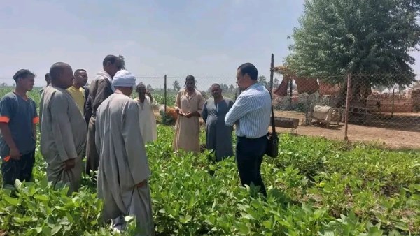 الزراعة في 2025.. طفرة في الصادرات وفتح 25 سوقا جديدة