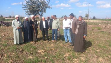 مديرية الزراعة بالشرقية تواصل تنفيذ إنجازاتها الأسبوعية لدعم المزارعين وتعزيز الإنتاجية