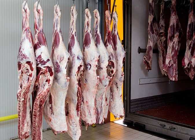 “الزراعة العراقية”: إجراءات صحية مشددة لاستيراد المواشي واللحوم الحمراء