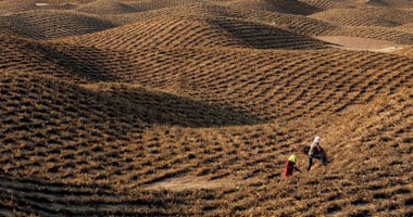 العواصف الغبارية تتصدر اجتماع لجنة متابعة تنفيذ اتفاقية الأمم المتحدة لمكافحة التصحر