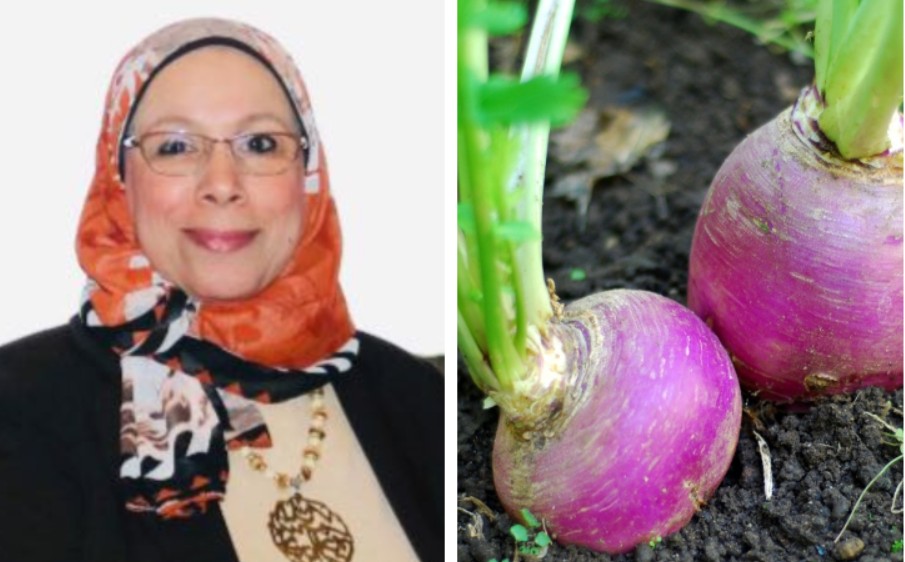 د فاظمة أحمد تتحدث عن فوائد اللفت الصحية