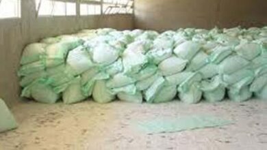 "الزراعة": ضبط 7.4 طن أسمدة مهربة في حملات مكبرة بالأقصر وكفر الشيخ