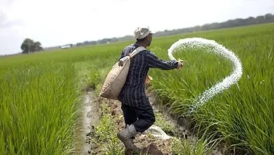 تحرك برلماني لمواجهة مافيا الأسمدة ودعم صغار المزارعين