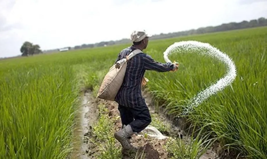 تحرك برلماني لمواجهة مافيا الأسمدة ودعم صغار المزارعين