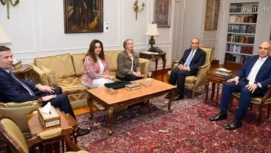 وزير الخارجية يستقبل ياسمين فؤاد ووزير الزراعة لمناقشة مكافحة التصحر