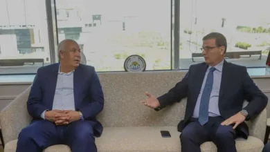 وزير الزراعة يبحث مع محافظ الوادي الجديد تعزيز الاستثمار في الثروة الحيوانية