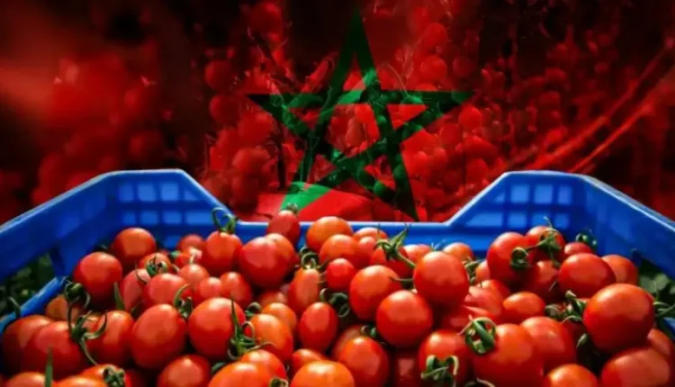 واردات المغرب تُربك الزراعة الإسبانية