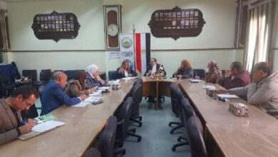 وزارة الزراعة تعلن تشكيل لجنة دائمة لمتابعة محصول القطن