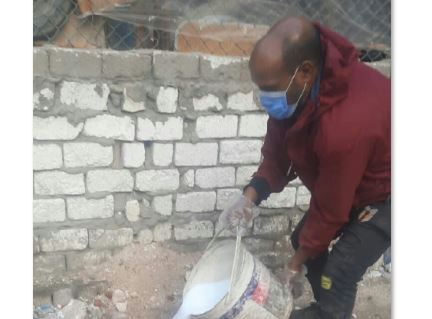 مديرية الزراعة بالإسكندرية تكافح النمل الأبيض غرب المحافظة