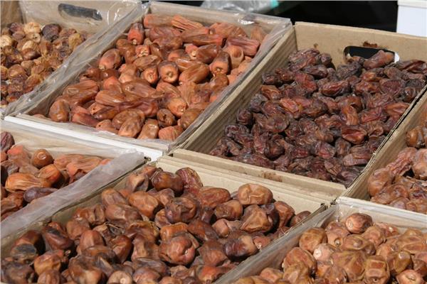 الحكومة: شائعة التمور الإسرائيلية حملة ممنهجة على الصادرات الزراعية