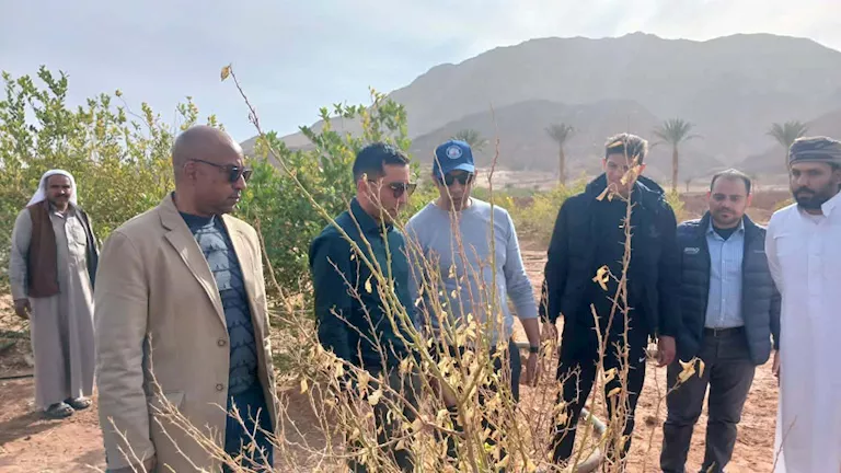 جنوب سيناء تتجه نحو الزراعة العضوية بوادي فيران