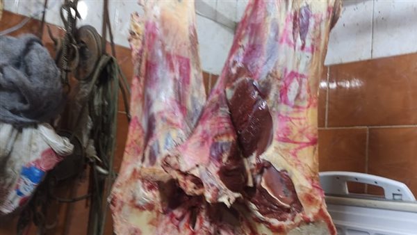 الزراعة: ضبط أي سلع غير صالحة ومصادرتها وغلق أماكن بيعها