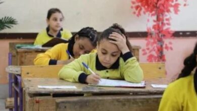 نتيجة الصف السادس الابتدائي بالرقم القومي 2026