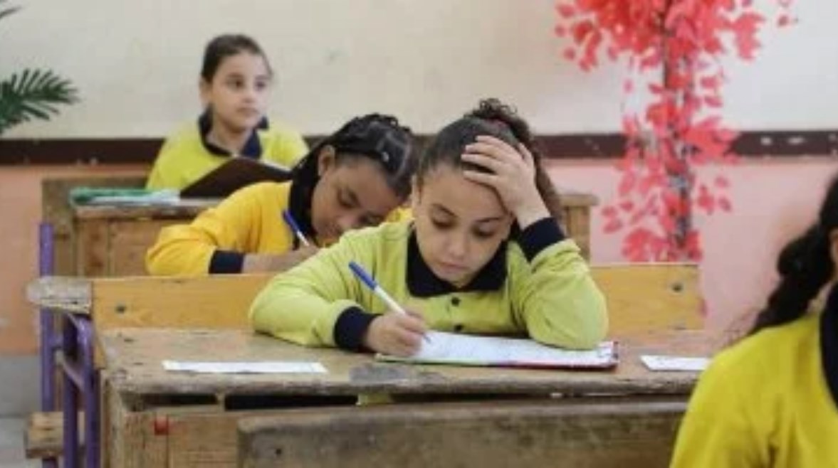 نتيجة الصف السادس الابتدائي بالرقم القومي 2026