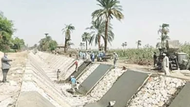 الحكومة تخطط لتبطين 20 ألف كيلومتر من الترع وتوسيع الزراعة العضوية إلى نصف مليون فدان