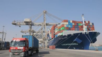 الزراعة: الصادرات المصرية تجاوزت 8.5 مليون طن