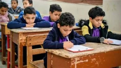 بوابة التعليم الأساسي محافظة الجيزة 2026