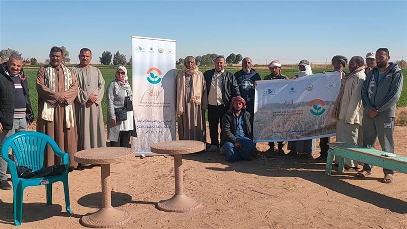 "زراعة الوادى الجديد" تتابع تنفيذ مدارس حقلية للقمح بباريس لتعزيز الإنتاج