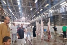 "بيطري الجيزة": ذبح أكثر من 4 آلاف رأس ماشية و366 ألف طائر داخل المجازر