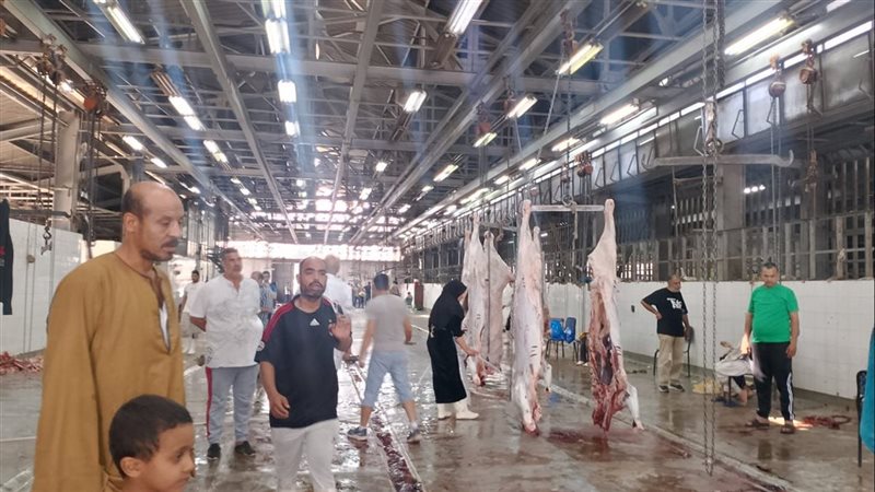 "بيطري الجيزة": ذبح أكثر من 4 آلاف رأس ماشية و366 ألف طائر داخل المجازر