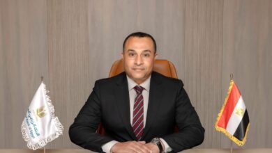 هشام محي الدين،