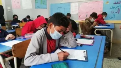 نتيجة الصف السادس الابتدائي بالرقم القومي 2026