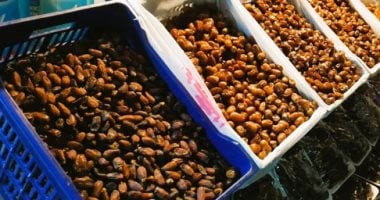 وزير الزراعة و3 محافظين يتفقدون مهرجان التمور والزيتون بالمتحف الزراعىي