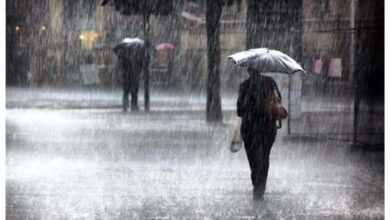 كم التاريخ القبطي اليوم 2026