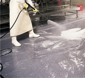 قواعد الأمان الحيوي