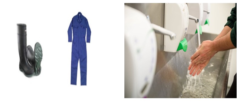 قواعد الأمان الحيوي