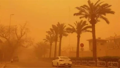 النهارده كام أمشير 2026 في التاريخ القبطي اليوم