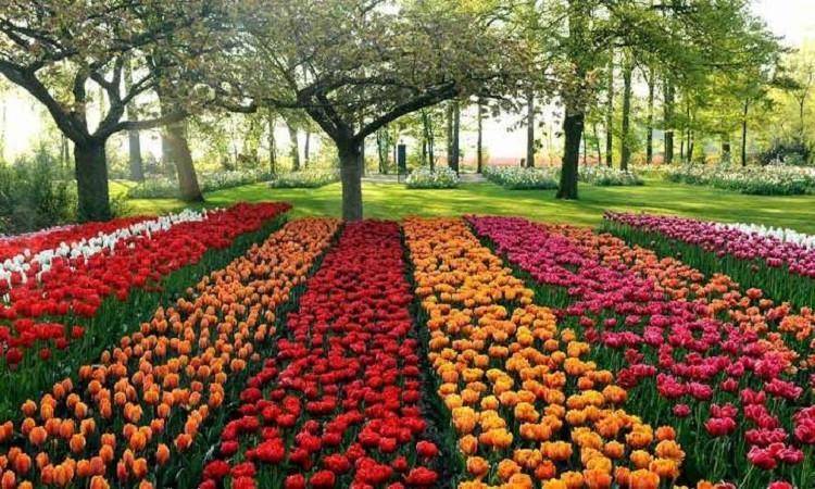 موعد افتتاح معرض الزهور 2026