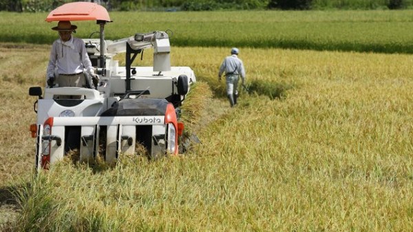 الصادرات الزراعية لليابان ترتفع إلى مستوى قياسي جديد بلغ 1.7 تريليون ين