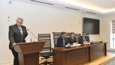 زيادة سعر توريد "القمح" ساهم في تشجيع المزارعين