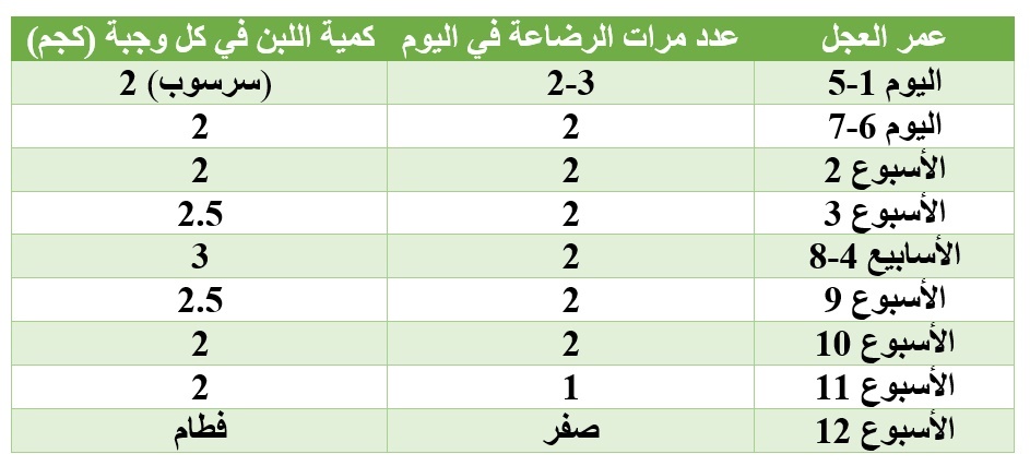 جدول تغذية العجول الرضيعة