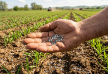 صورة تعبيرية عن الاسمدة الزراعية تم توليدها بالذكاء الاصطناعي