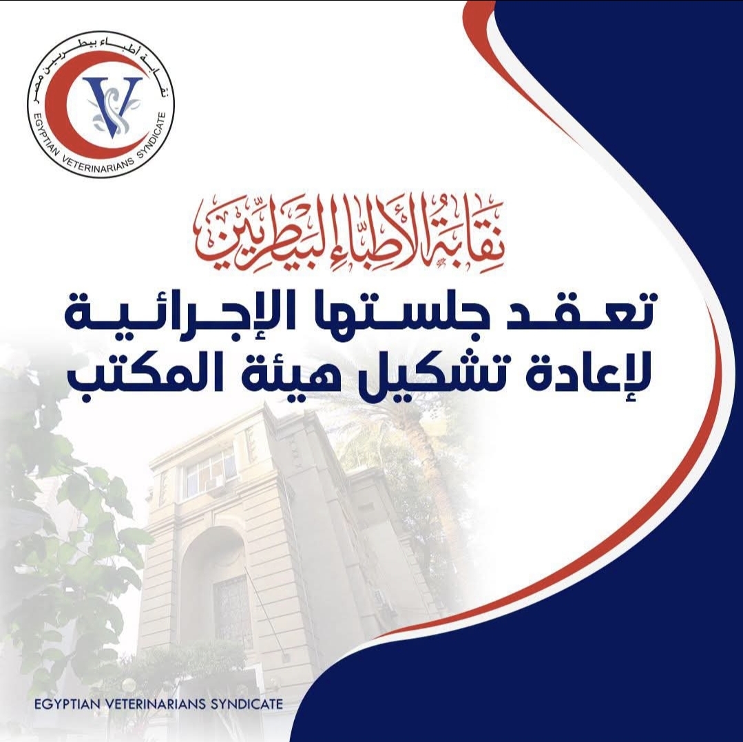الدكتور أحمد البنداري وكيلاً للنقابة العامة للأطباء البيطريين