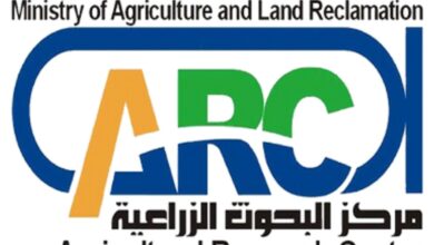 مركز البحوث الزراعية