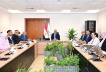 وزير الري يبحث ترشيد الإحتياجات المائية