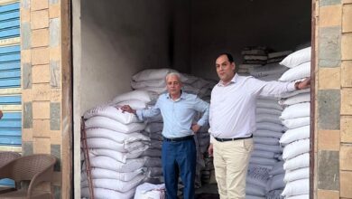 الزراعة تضبط تقاوي مغشوشة بالمحافظات