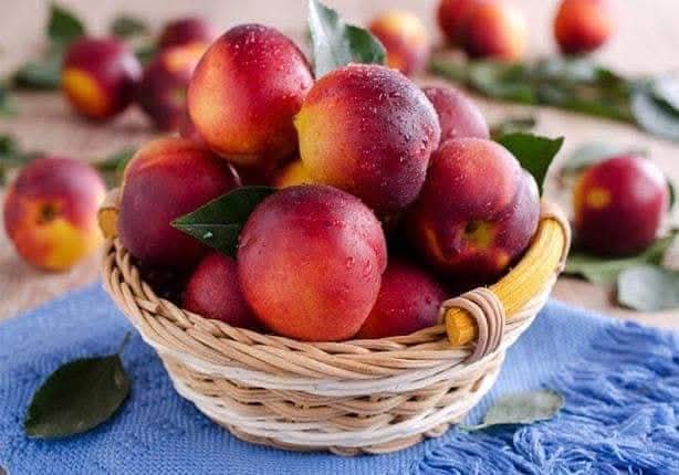 متي يزرع الخوخ؟