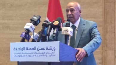 الدكتور حسن القلا رئيس مجلس أمناء جامعة بدر بالقاهرة