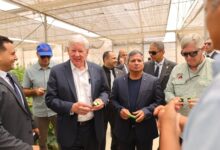 بحث آفاق التعاون المشترك في المجالات الزراعية والبحثية والتكنولوجية
