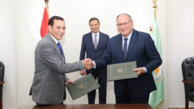 إتفاف تعاون بين مركز البحوث الزراعية وشركة الريف المصري لإنتاج تقاوي الطماطم