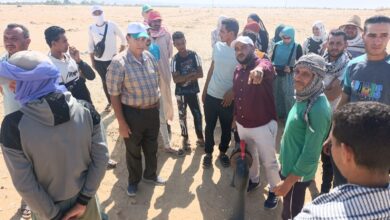البرنامج التدريبي لتأهيل 36 شابًا ضمن مشروع الواحات الخضراء