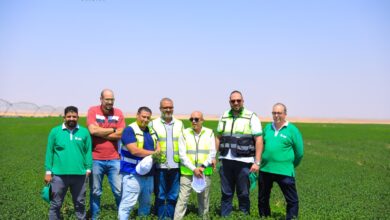 استكمال أعمال التفتيش الأول وإجراءات التسجيل للمزارع الجديدة