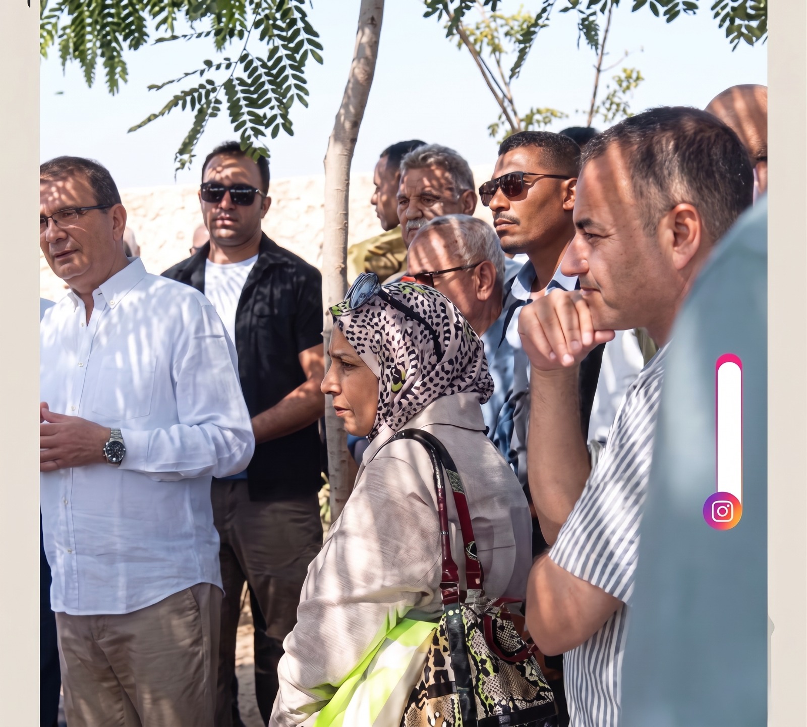 فتحي بحيري خلال جولة وزير الزراعة