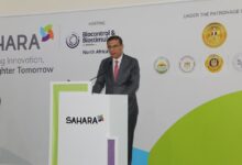 فاروق: نركز على تنفيذ رؤية متكاملة تشمل التوسع الأفقي والرأسي