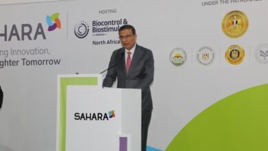 فاروق: نركز على تنفيذ رؤية متكاملة تشمل التوسع الأفقي والرأسي